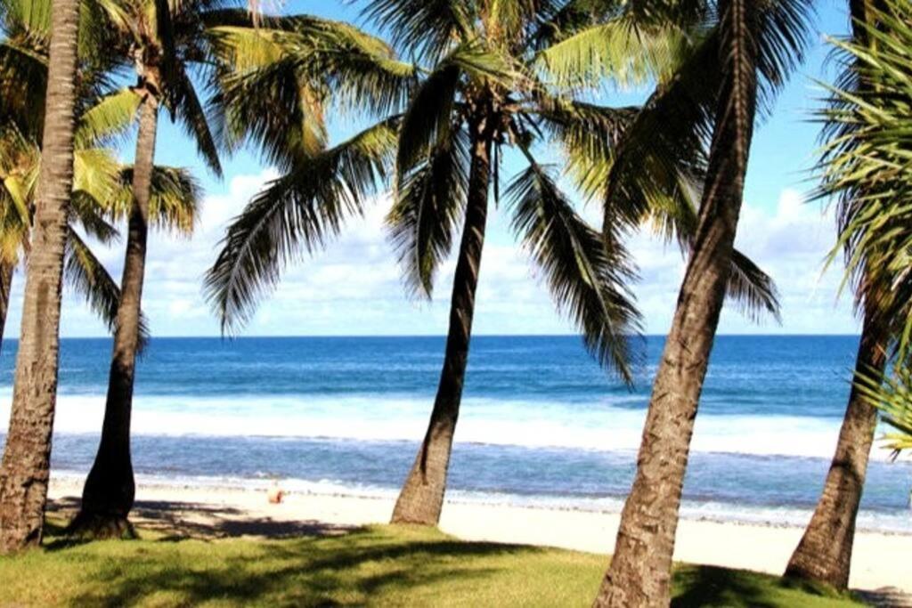 Maison De Vacances, Decouvrir Le Sud De La Reunion Петіт-Іль Екстер'єр фото